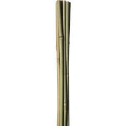 HOME IT GARDEN BAMBUSPINDE 90 CM