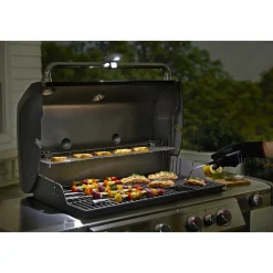 WEBER LYS